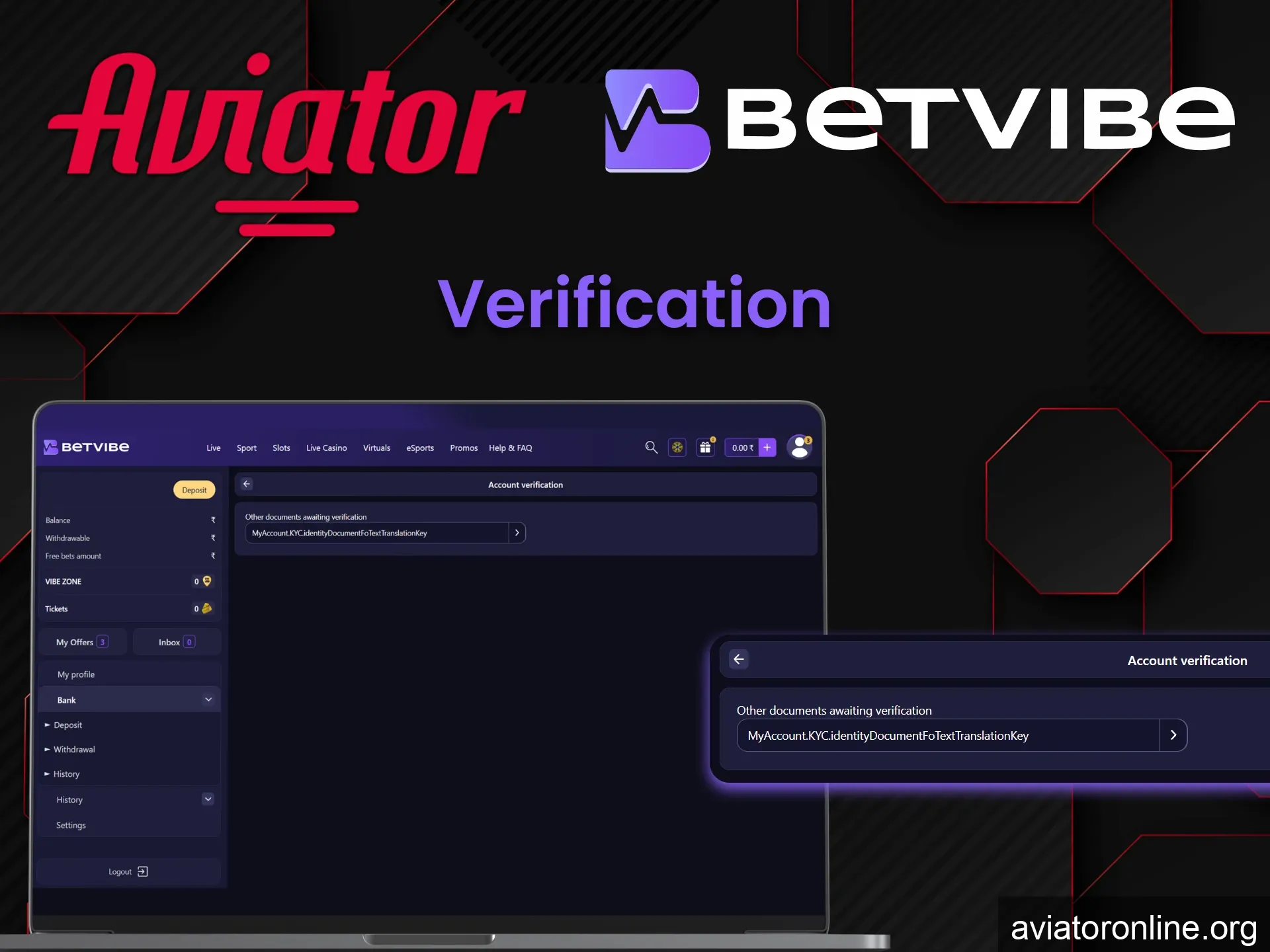 On the BETVIBE website you need to fill in your personal information to play Aviator.