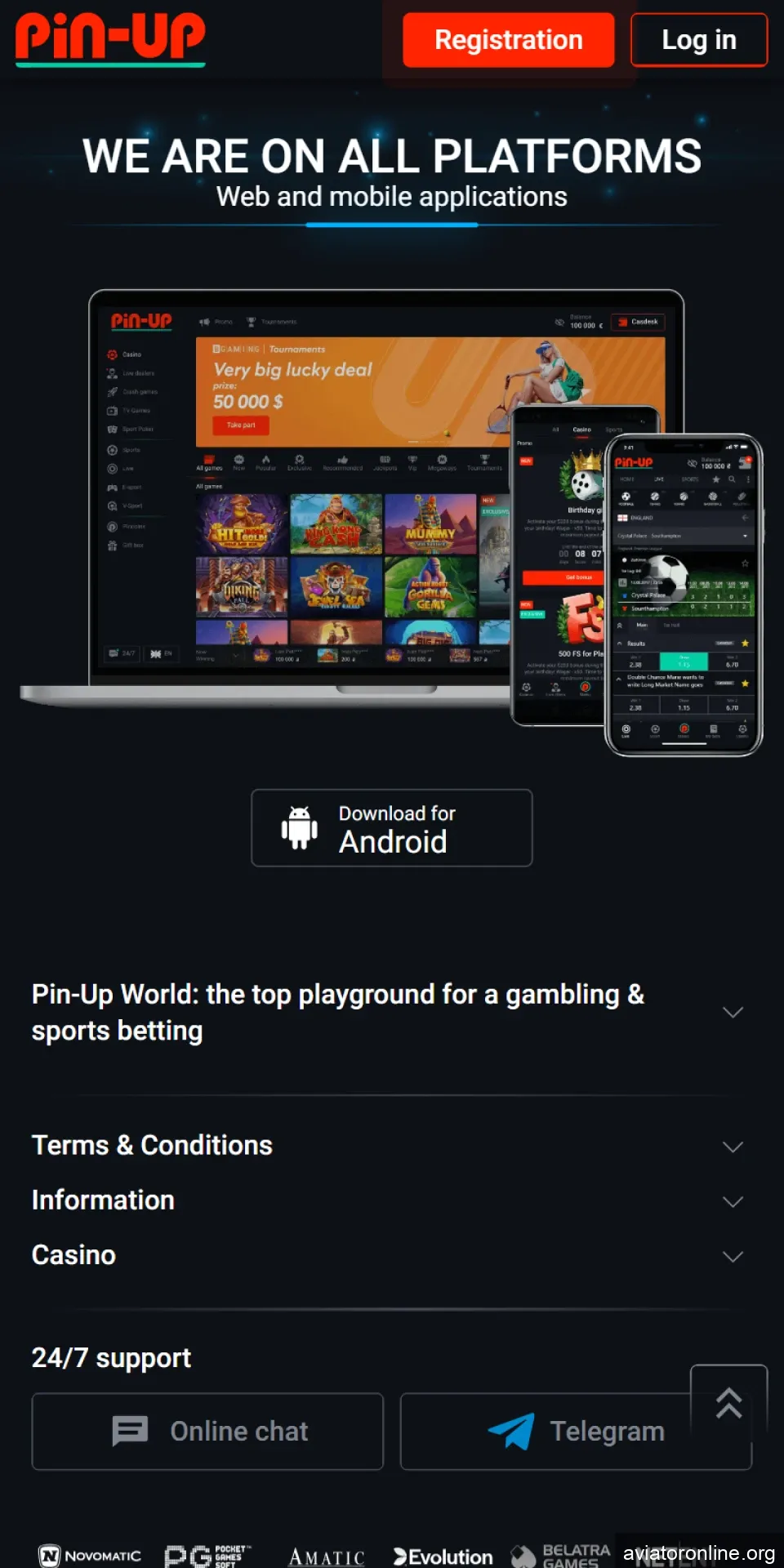 On the Pin Up website, find the section to download the application.